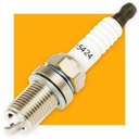 Spark plug