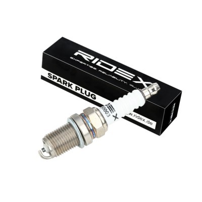 Spark plug